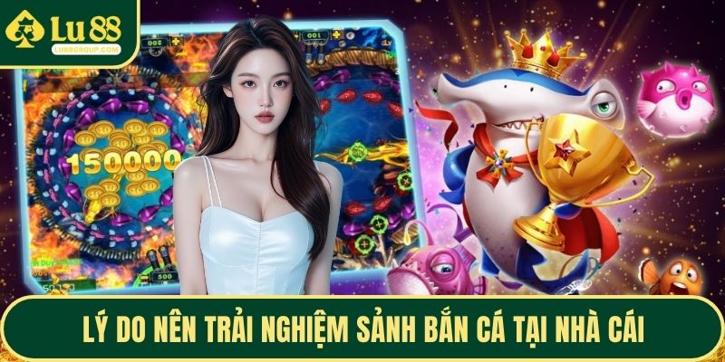 Lý do nên trải nghiệm sảnh bắn cá tại nhà cái